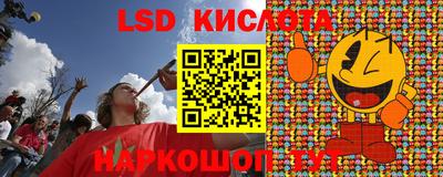 шишки Заволжье