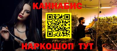 шишки Заволжье