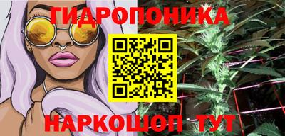 гидропоника Заводоуковск