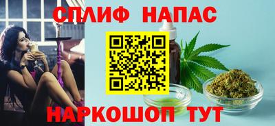 шишки Заволжье