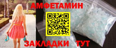 шишки Заволжье