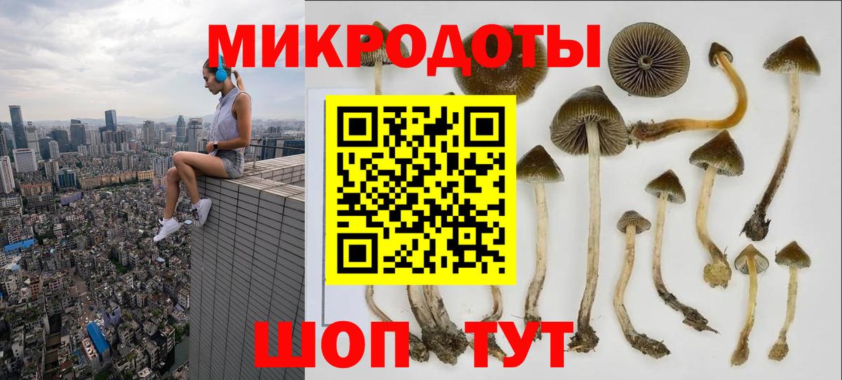Псилоцибиновые грибы Cubensis Лесосибирск