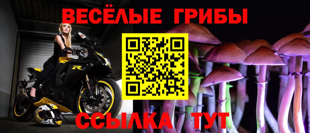 Псилоцибиновые грибы мухоморы  Вход с VPN  Лесосибирск 
